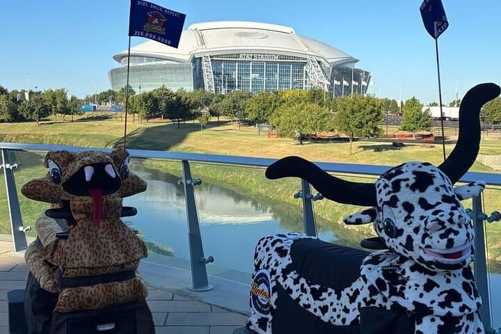 Lone Star Rydables Texas Tasting Tour in Arlington: Stadium Sights & Local Bites