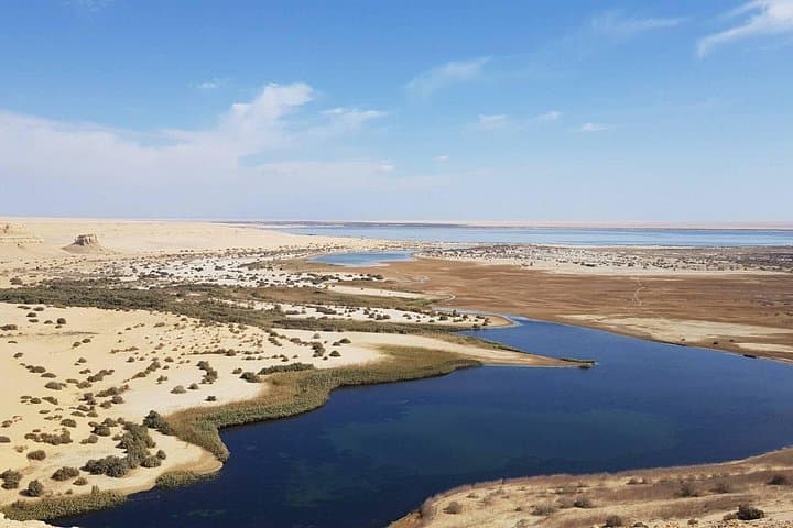 Wadi El Hitan Day Trip from Cairo — UNESCO Fossil Valley & Fayoum Oasis photo 4