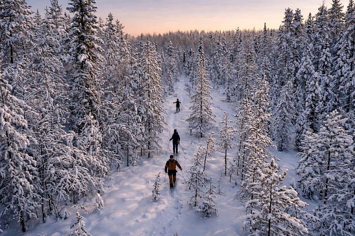 Guided Daytime Ski Adventure Near Lake Norvajärvi — Rovaniemi Arctic Trails photo 1