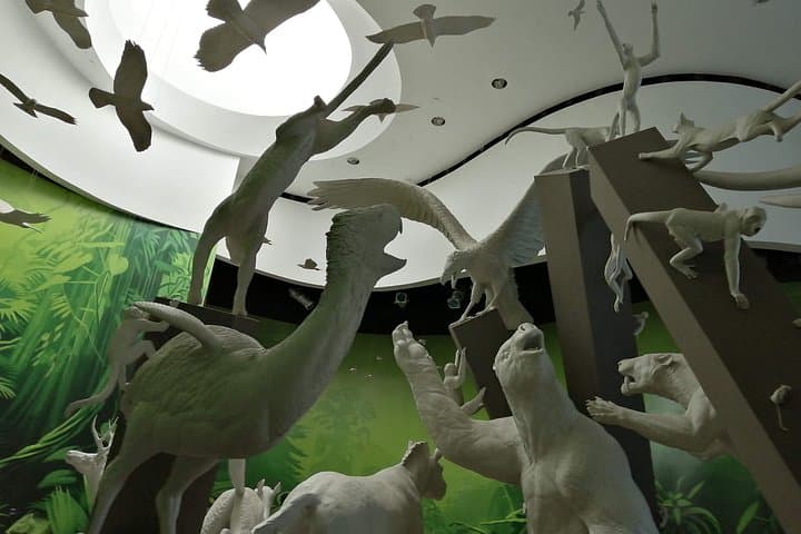 Explore Panama's BioMuseo: Frank Gehry's Museum of Biodiversity & Amador Causeway Views photo 4