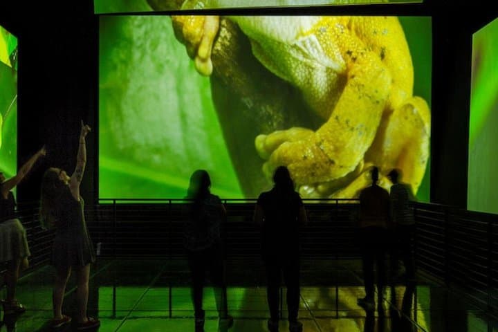 Explore Panama's BioMuseo: Frank Gehry's Museum of Biodiversity & Amador Causeway Views photo 3