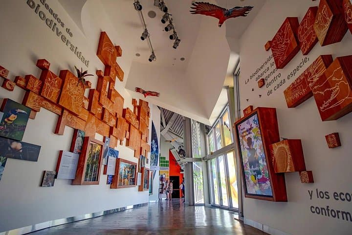 Explore Panama's BioMuseo: Frank Gehry's Museum of Biodiversity & Amador Causeway Views photo 2