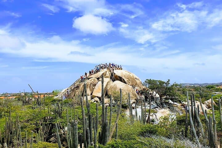 Aruba Highlights City Tour & Picture Stops — Top Photo Viewpoints and Coastal Stops photo 6