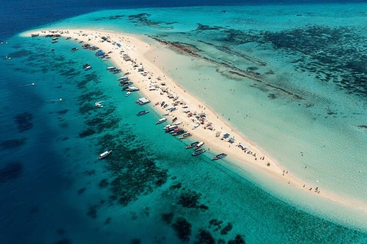 Prison Island & Giant Tortoises: Half-Day Boat Trip from Stone Town photo 4