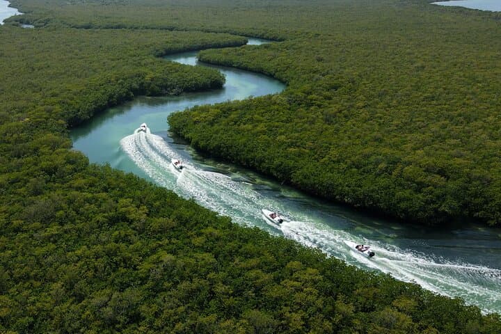 Cancun Reef Snorkeling & Jungle Speedboat Adventure with Mayan Ceremony