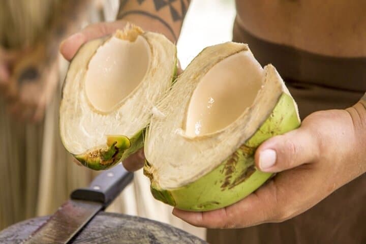 Guam Underwater Observatory & Coconut Experience — Reef Viewing and Island Culture