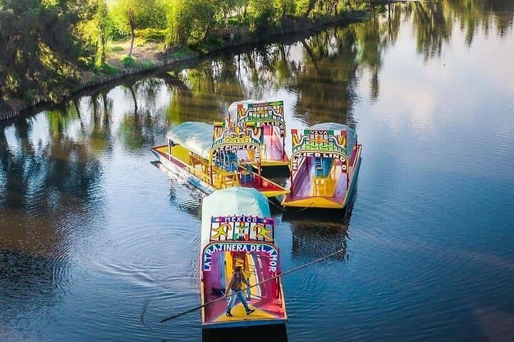 Xochimilco Trajinera Ride & Chinampa Visit — Authentic Canals Tour from Mexico City photo 1