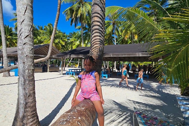 Saona Island Catamaran Tour: Natural Pool, Beach & Dominican Lunch photo 4