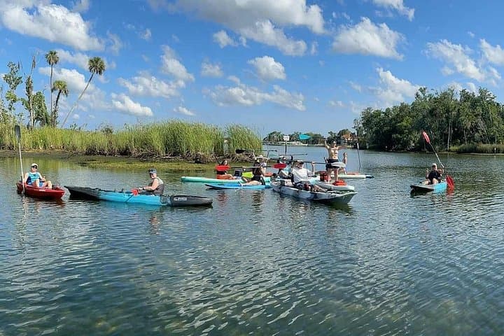 Guided Kayak Tour of Crystal River Springs: Manatees, Clear Springs & Wildlife photo 2