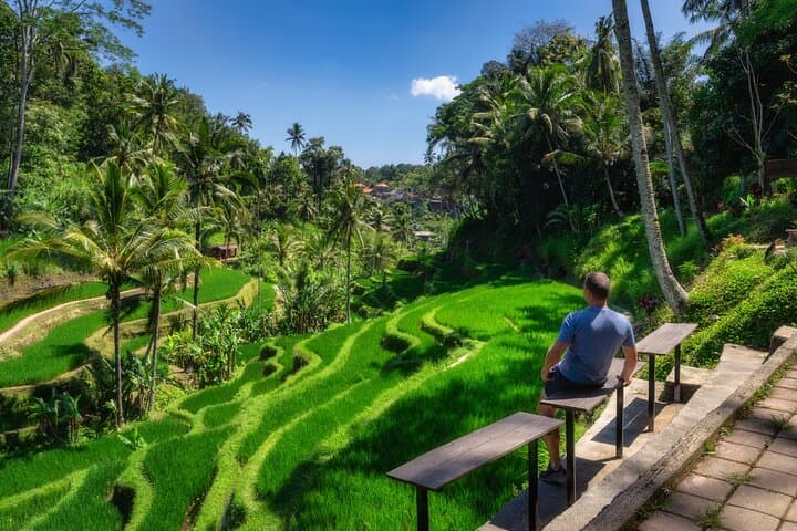 Custom Ubud Private Day Tour – Temples, Rice Terraces & Waterfalls photo 4