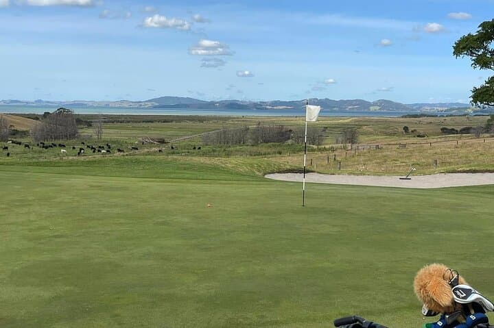 Auckland West Coast Signature Golf at South Head photo 4