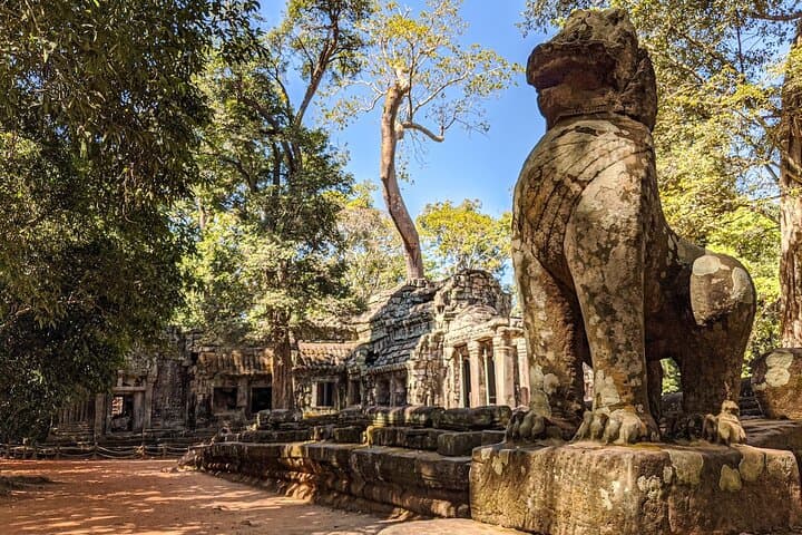 Sunrise Cycling at Angkor Wat: Temple Ride with Breakfast photo 6