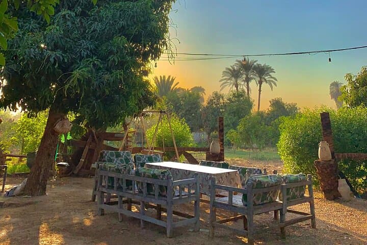 Luxor West Bank Farm Visit: Half-Day Rural Escape with Refreshing Local Drink photo 4