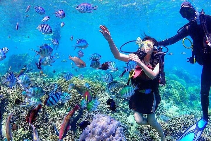 Hon Mun Island Discovery Scuba Diving — Introductory Two-Dive Experience from Nha Trang photo 3