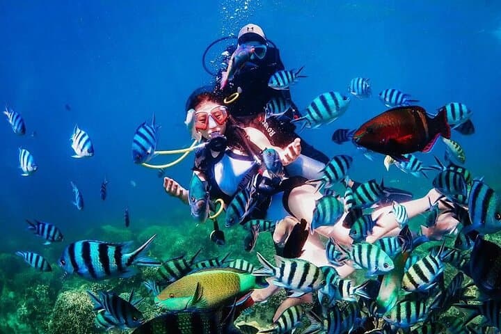 Hon Mun Island Discovery Scuba Diving — Introductory Two-Dive Experience from Nha Trang photo 2