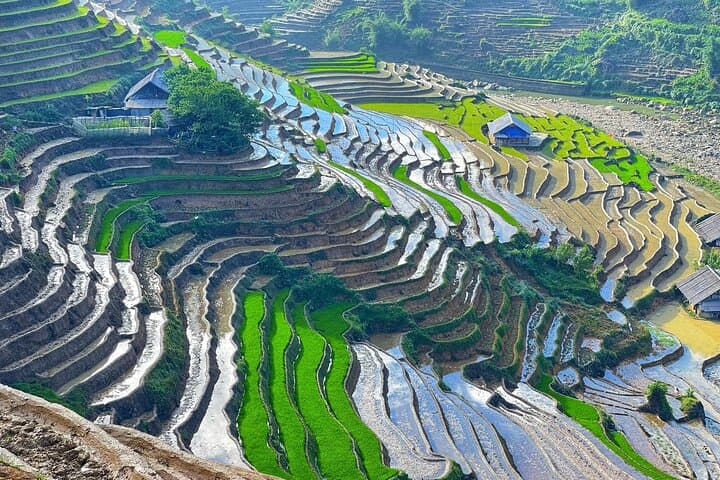 Half-Day Sapa Trek to Y Linh Ho, Lao Chai & Ta Van Rice Terraces photo 3