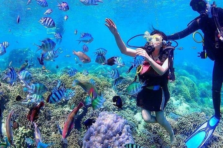 Private Nha Trang Coastal Adventure: Snorkel Hon Mun, Fish & Relax on Mini Beach photo 4