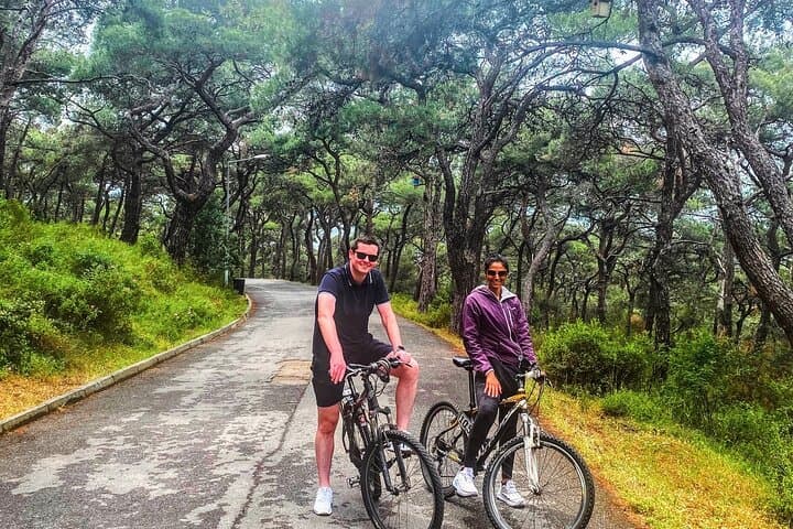 Büyükada Cycling Tour: Bike the Princes' Island with a Local Guide