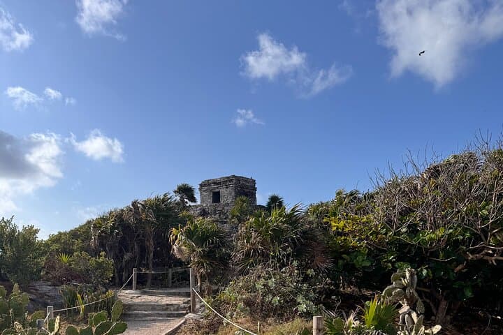 Private Coba & Tulum Day Tour with Two Cenotes from Playa del Carmen photo 6