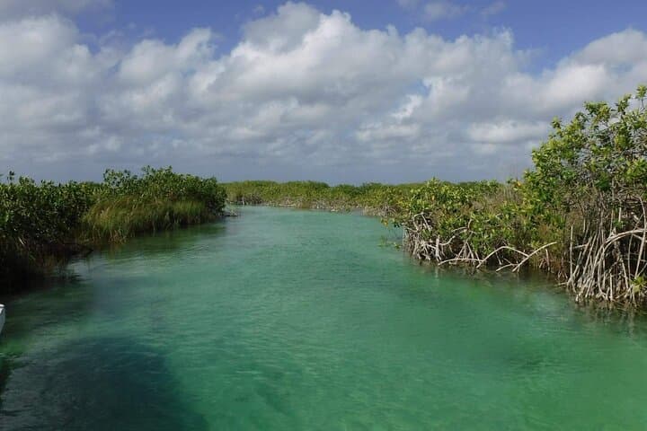 Private Half-Day Sian Ka'an Tour — Muyil Mangrove Canals & Birdwatching