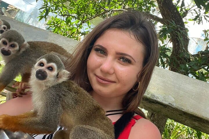 Hands-On Monkey House Experience in Macao — Interactive Wildlife Tour Near Punta Cana