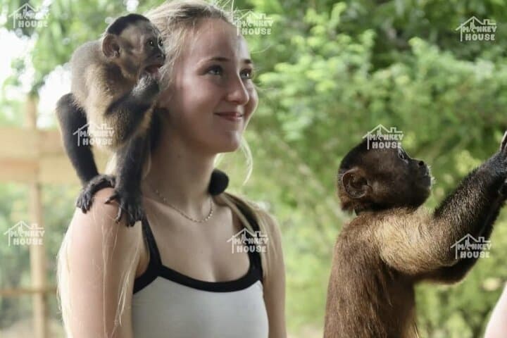 Hands-On Monkey House Experience in Macao — Interactive Wildlife Tour Near Punta Cana photo 6