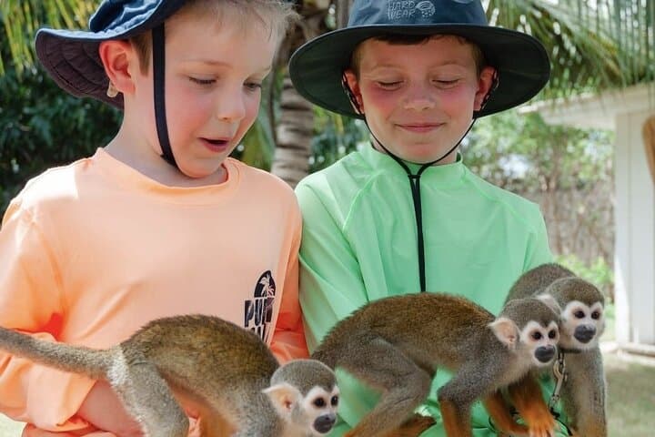 Hands-On Monkey House Experience in Macao — Interactive Wildlife Tour Near Punta Cana photo 2