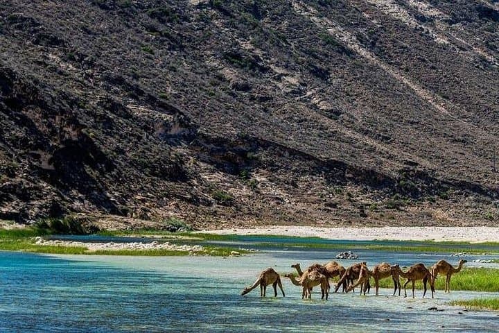 Fazayah Beach and Mughsail Blowholes — West Salalah Turquoise Coast photo 3