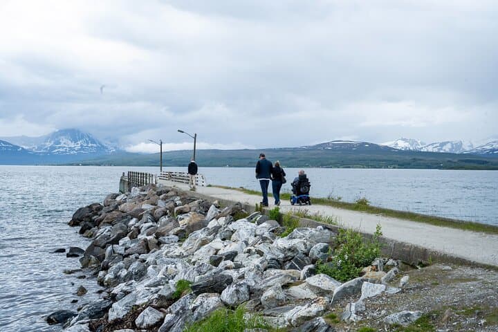 Accessible Tromsø Island Tour: Kvaløy, Telegrafbukta & Arctic Cathedral in 4 Hours