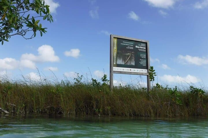Private Half-Day Sian Ka'an Tour — Muyil Mangrove Canals & Birdwatching photo 6