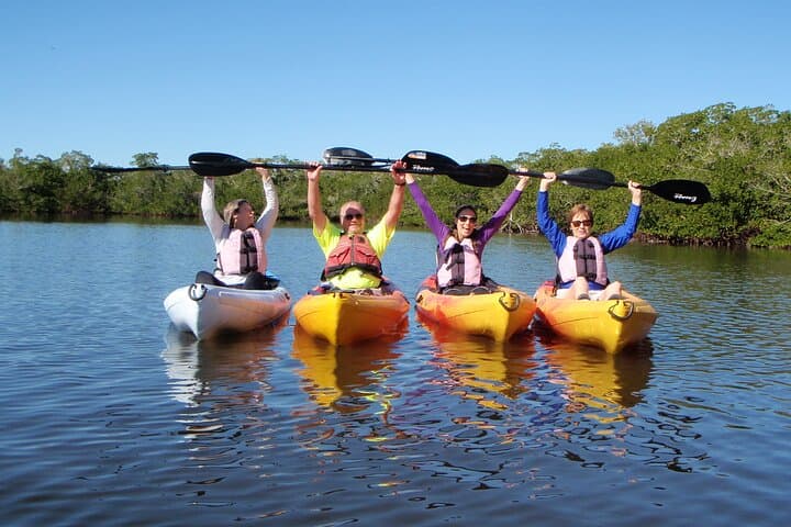 Paddle Bunche Beach: Half-Day Kayak & SUP Rentals on Estero Bay photo 4