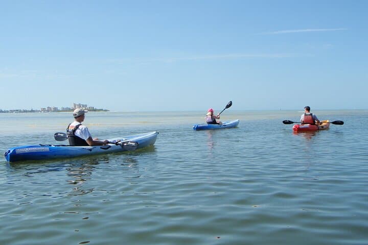 Paddle Bunche Beach: Half-Day Kayak & SUP Rentals on Estero Bay photo 5