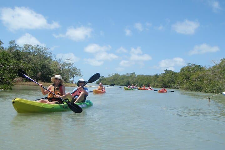 Paddle Bunche Beach: Half-Day Kayak & SUP Rentals on Estero Bay photo 6