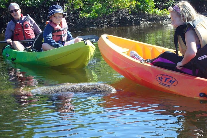Half-Day Kayak and SUP Rental at Pelican Bay — Fort Myers Beach Waterways