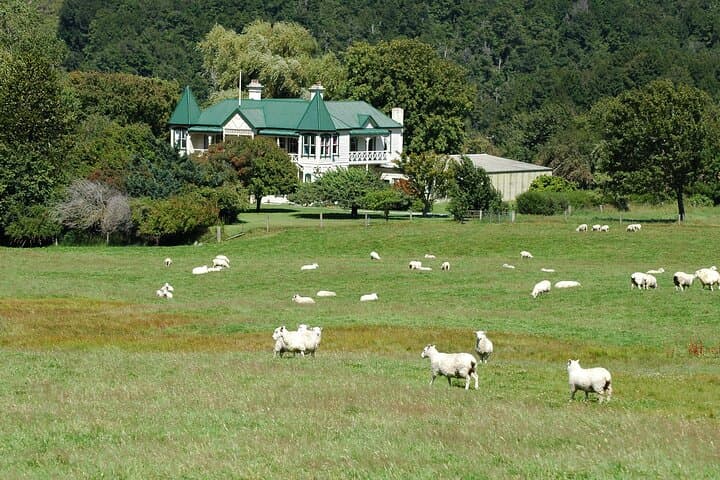 High Country Discovery Tour from Queenstown — Glenorchy, Paradise Valley & Diamond Lake photo 4