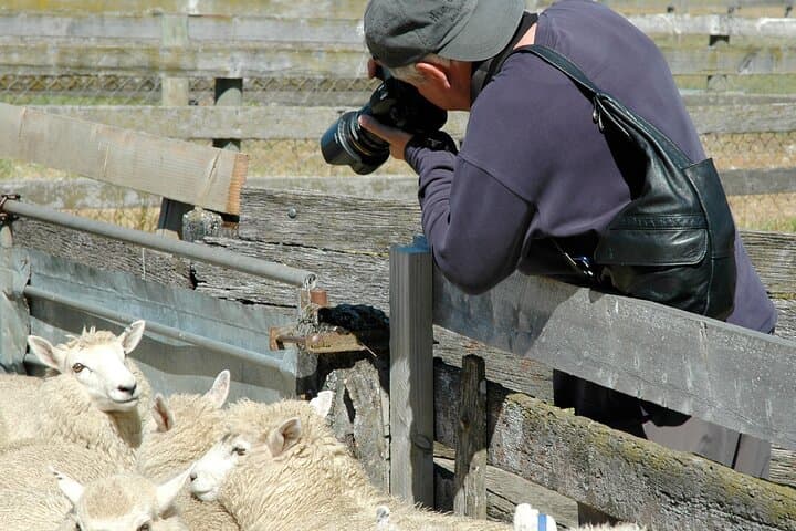 High Country Discovery Tour from Queenstown — Glenorchy, Paradise Valley & Diamond Lake photo 5