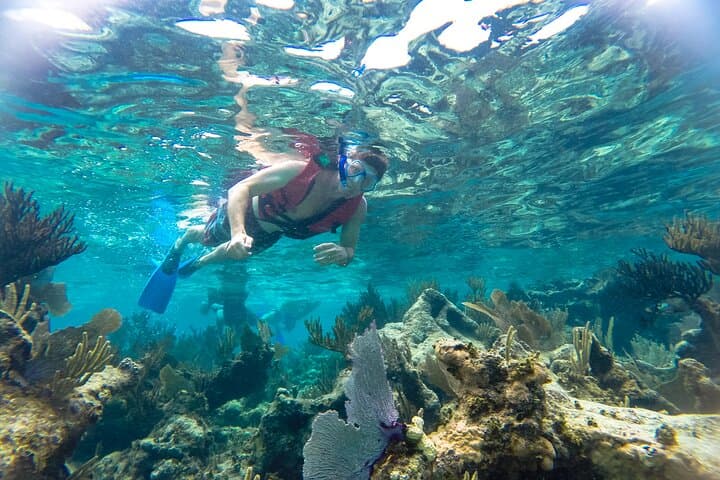 Reef Snorkel and Cenote Experience in Tulum — Coral Reefs & Cenote Swim photo 1