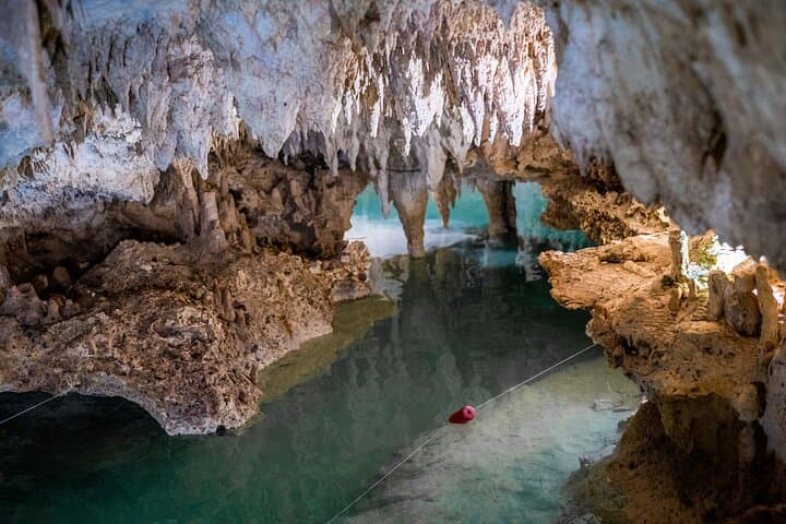 Reef Snorkel and Cenote Experience in Tulum — Coral Reefs & Cenote Swim photo 4