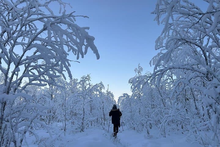 Guided Daytime Ski Adventure Near Lake Norvajärvi — Rovaniemi Arctic Trails photo 2