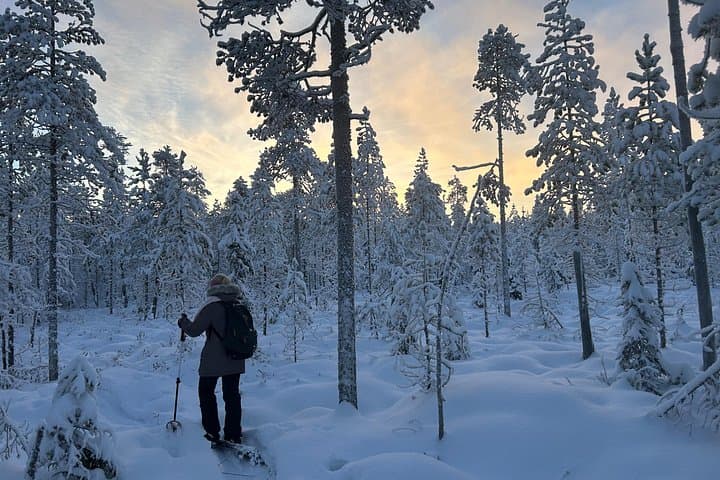 Guided Daytime Ski Adventure Near Lake Norvajärvi — Rovaniemi Arctic Trails photo 4