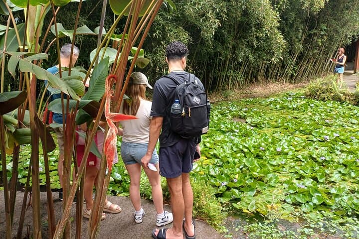 Martinique Northern Circuit: Waterfalls, Mount Pelée & Saint-Pierre Ruins Day Tour photo 4