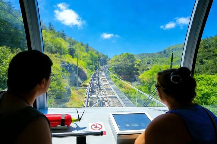 Great Wall & Panda House Private Tour — Mutianyu or Badaling Day Trip from Beijing photo 5