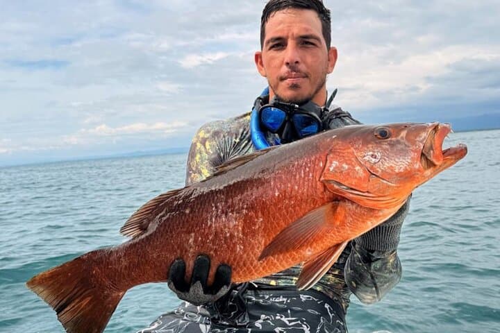 Half-Day Private Reef Spearfishing in Manuel Antonio — Private Boat Tour photo 6