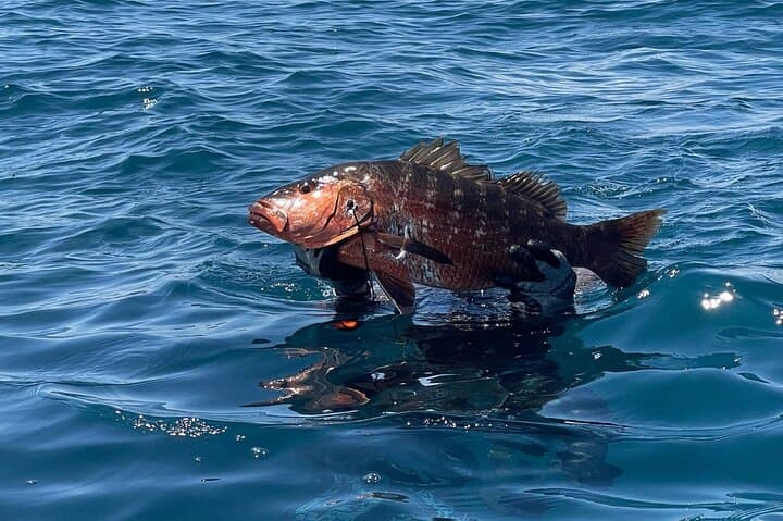 Half-Day Private Reef Spearfishing in Manuel Antonio — Private Boat Tour photo 3