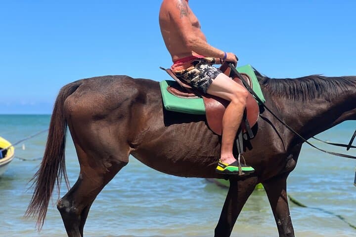 Two-Day Montego Bay Solo Adventure: ATV, Bamboo Rafting, Horseback & Dunn's River photo 4