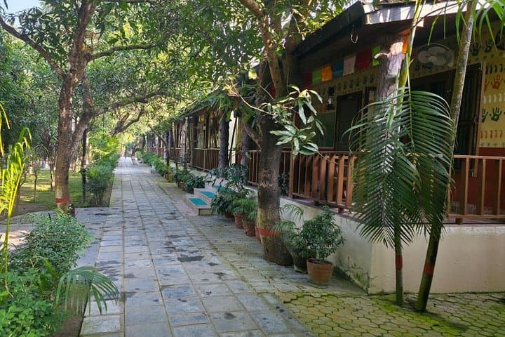 Chitwan Tiger Tracking: 2-Night Jeep Safari, Canoe Ride & Tharu Culture photo 2