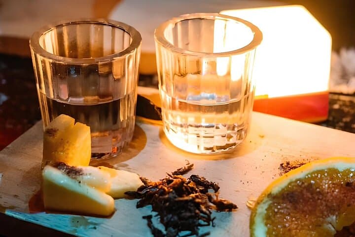 Xochimilco Trajinera Mezcal & Craft Beer Tasting on the Canals photo 3