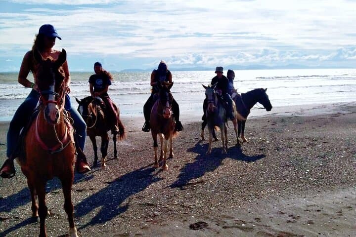 Tarcoles-Garabito Horseback Riding: Sunset Mangrove & Beach Trail Ride photo 3