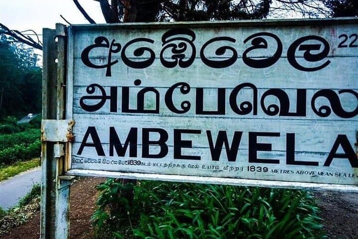 Nuwara Eliya to Ella: Ambewela Scenic Train Tickets and Hill-Country Views photo 2