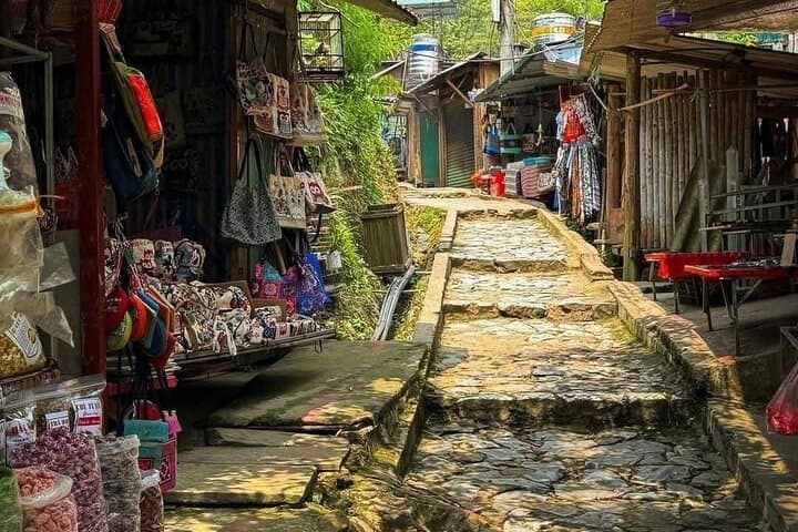 Sapa 2-Day Trek: Rice Terrace Treks, Ethnic Villages & Hoang Lien Mountains photo 3